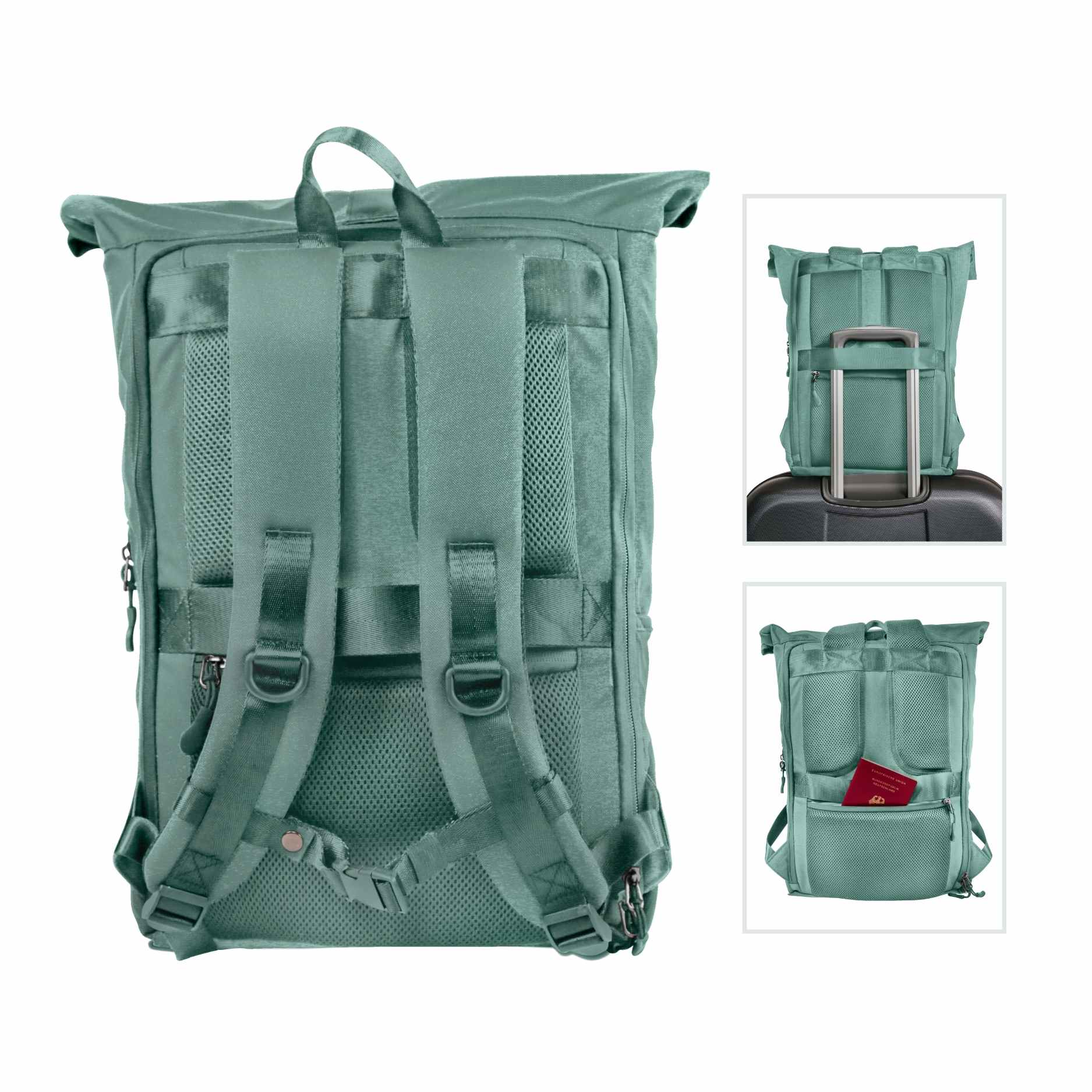 Rueckenansicht des FUCHS und REBELL PIET Rolltop Rucksacks in mint blau mit gepolstertem Ruecken und Schultergurten, abnehmbarem Brustgurt, stabilem Koffergurt und Anti-Diebstahlfach.
